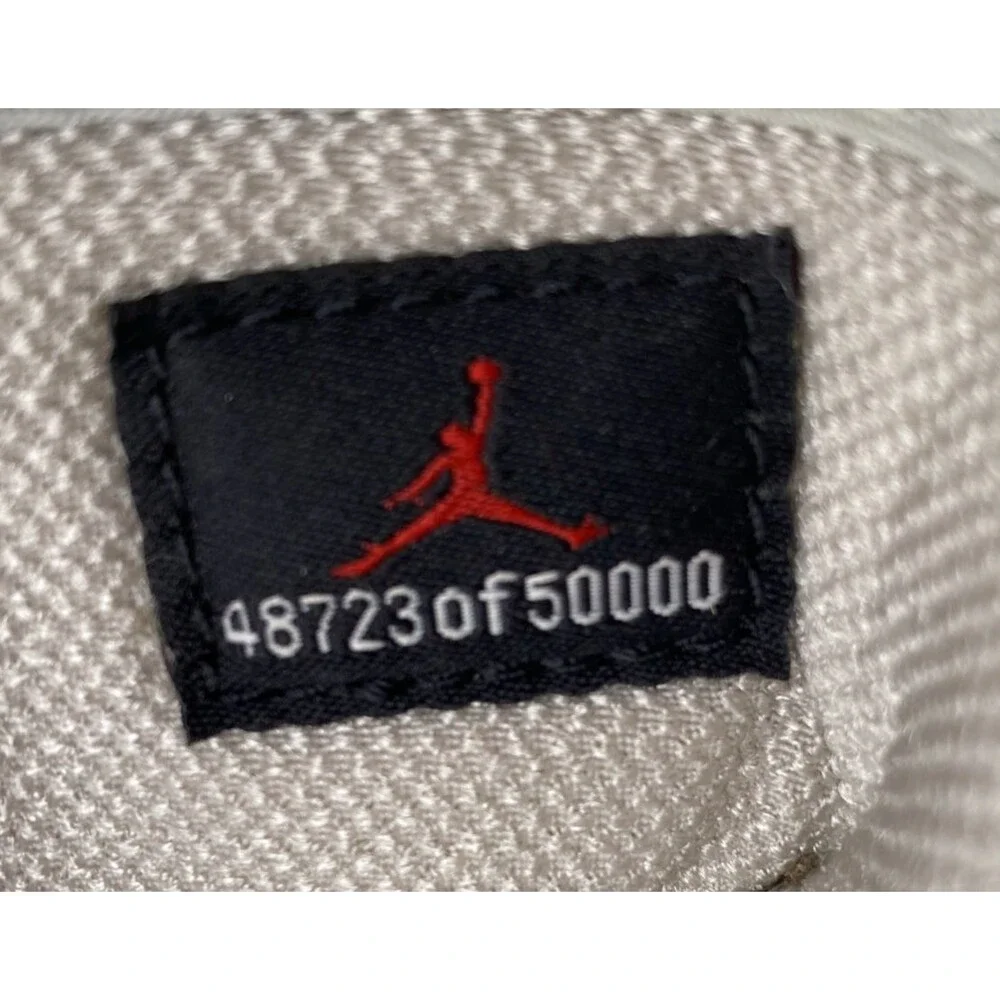 Air Jordan 1 Retro 2001 Neutral Grey Metallic Silver 136065-001 Japan Size 10